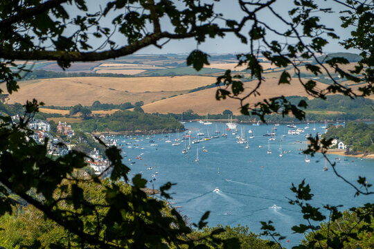 Panoramic View of Salcombe Estuary with Sailing Boats and Rolling Countryside, Devon, England