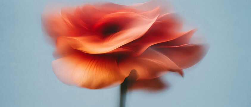 A painterly red and peach flower is softly blurred against a cool blue background. This dreamy, abstract floral image features smooth gradients and gentle airbrush textures.