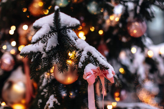 Snow-covered Christmas trees branches decorated with gold garlands and pink silk ribbons, magical holiday winter atmosphere