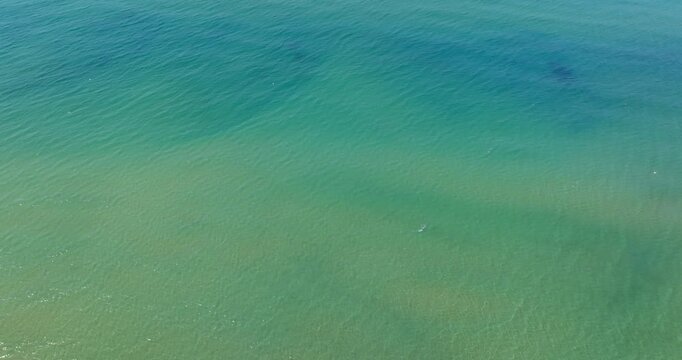 Aerial close up view of crystal clear turquoise and emerald green sea water with gentle ripples and shallow sandy seabed visible, creating abstract natural texture pattern in a sunny morning.