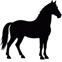 Obraz premium Standing horse silhouette isolated on transparent background