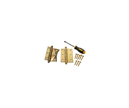 Brass Door Hinge Replacement Parts with Screwdriver and Screws