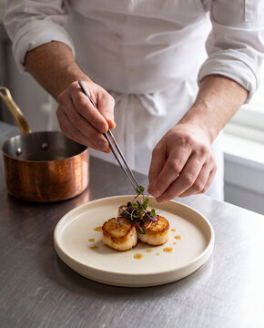 Chef plating seared scallops with tweezers and microgreens on a ceramic plate