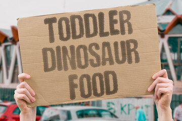 "Toddler Dinosaur Food" Child eats only shaped meals. TODDLER. DINOSAUR. FOOD. CHILD. SHAPED. © AndriiKoval