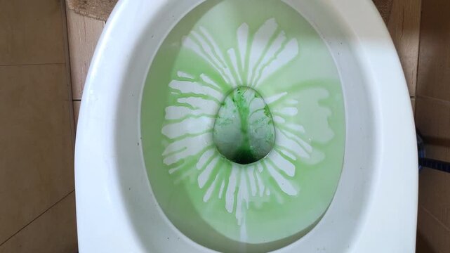 Green toilet bowl cleaner with floral daisy pattern design creating decorative effect in white ceramic toilet, bathroom hygiene product.