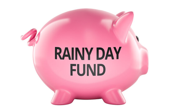 Rainy Day Fund concept with piggy bank. 3D rendering
