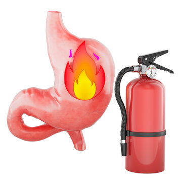 Heartburn and acid reflux concept with stomach and fire extinguisher. 3D rendering