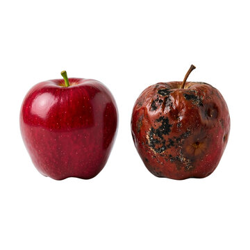 Fresh red apple next to a spoiled apple with mold and decay  