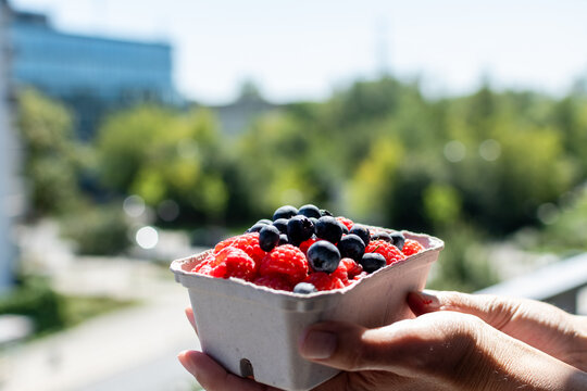 Close up photo of a human hand holding a paper basket with raspberries and blueberries outdoors. Selective focus, shallow depth of field.