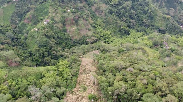Monta&ntilde;as de colombia en el tolima, con muchos cultivo y arboles
