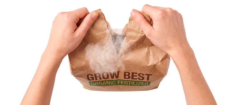 Tearing bag in hands isolated on a transparent or white background. Opening organic fertilizer package and releasing chemical dust, agriculture soil nutrition and spring planting.