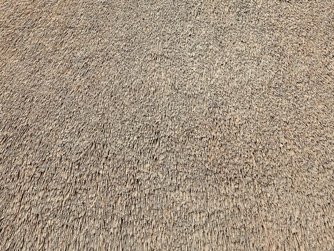 Close-up of a thatched roof background. Straw texture.