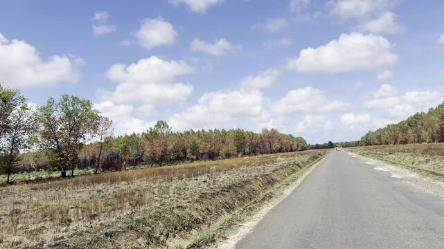 Le Porge, Gironde, France - August 2026: Forward view along the D3 where roadside vegetation was cleared over wide strips after the wildfire to reduce future fire spread.