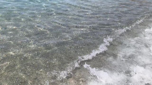 Playa con peces peque&ntilde;os y cerca de la orilla