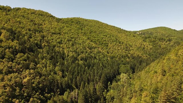 Aerial View of Dense Forested Hills and Valley Above Radica Potok in Vogosca, Bosnia and Herzegovina