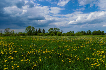 Sielskie klimaty © Stanisaw