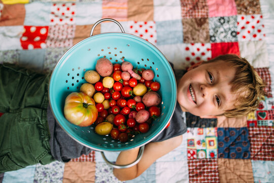 Boy Holding Tomatoes and Potatoes on Blanket