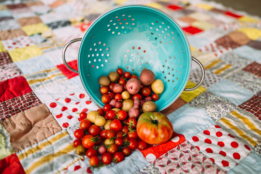 Harvested Potatoes and Tomatoes on Patchwork Quilt