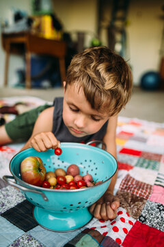 Young Bo yLooking at Tomatoes and Potatoes