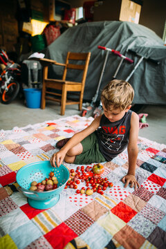 Young Boy Sorting Tomatoes and Potatoes