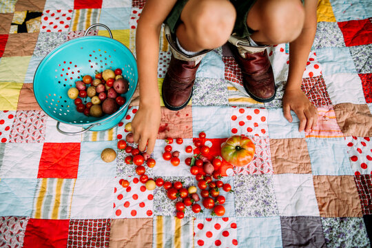 Little Boy Sorting Cherry Tomatoes and Potatoes