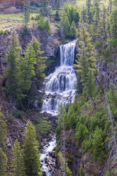 Waterfall with Trees in a Canyon