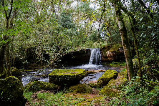 Cascada