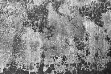 Fototapeta premium abstract grunge background Close-up black and white abstract texture with rough organic cracked surface pattern for design backgrounds