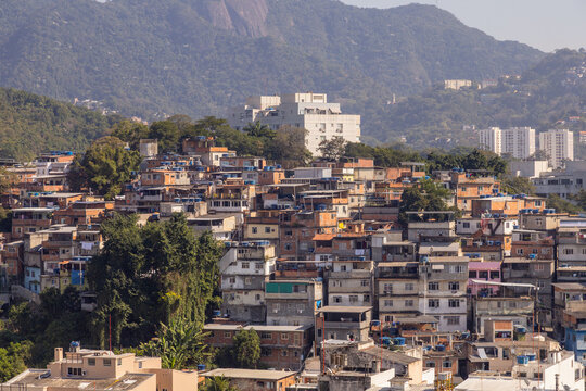 Dense residential houses of a favela community nestled on a hill