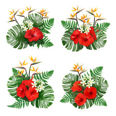 Floral compositions with hibiscus, strelitzia and plumeria flowers with green tropical leaves on white background, set © New Africa