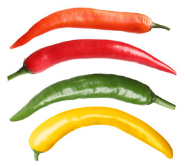 Fototapeta premium Chili peppers in different colors isolated on white