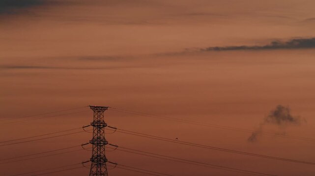Tokyo, Japan - August 19, 2026: Birds flying near transmission tower at dawn