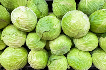 Fototapeta premium Fresh green cabbage heads piled at market stall