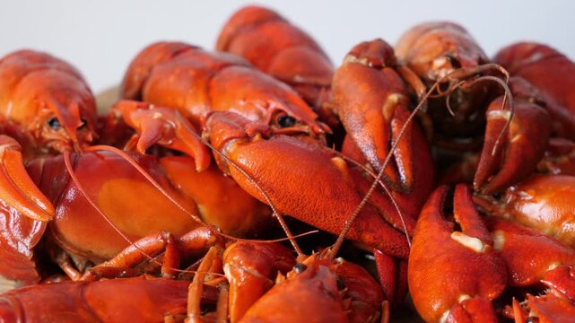 Boiled or steamed crawfish