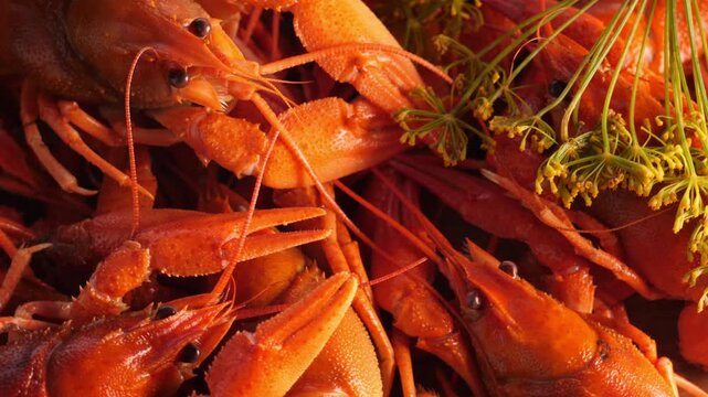 Boiled or steamed crawfish