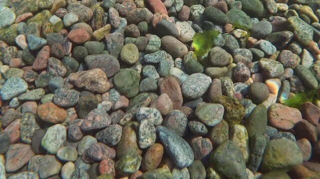 Close-up of natural underwater gravel texture with sunlight rays casting bright caustics over smooth rounded beach pebbles. Vivid marine cobble background with bright sunshine glare reflecting.