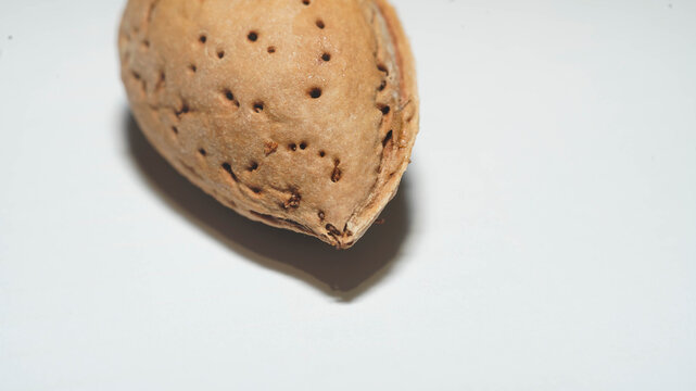 Almendra con cascara detalle en primer plano sobre fondo blanco