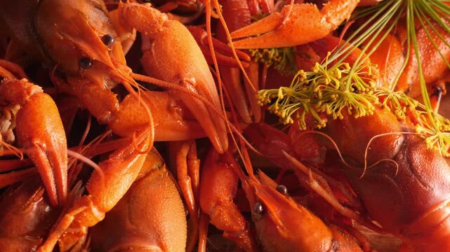 Boiled or steamed crawfish