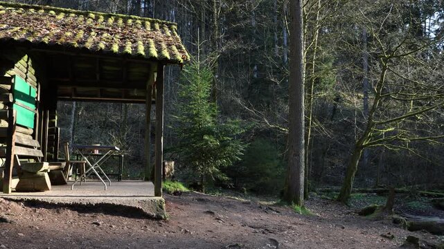 Wooden shelter hut with a mossy tiled roof in an early spring forest, Germany. Static shot of a rest stop with benches and a table on a hiking trail among bare trees and young spruce in sunlight