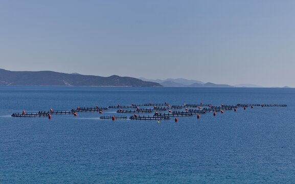 Fish Farm and Aquaculture Cages off the Coast of Western Evia, Greece