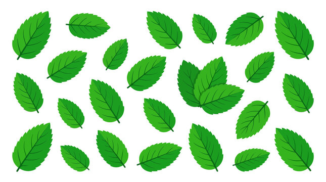 Vibrant green mint leaves arranged in a repeating pattern within this clean stylized vector graphic illustration