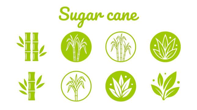 Sugarcane plant vector icon set featuring flat green graphic design elements for food industry branding projects