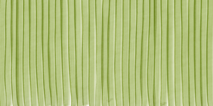 vertical green marker strokes, hand drawn olive color textured background
