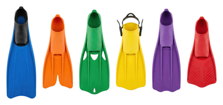 Colorful collection of six swimming flippers in various designs and bright colors arranged in a neat horizontal row for summer vacation and water sports