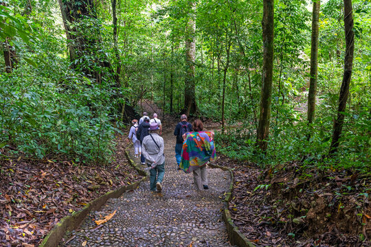 Tourists hiking in the rainforest area of Palenque, Chiapas, Mexico.