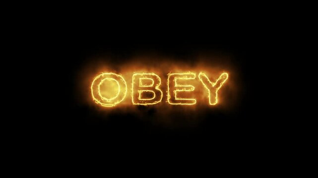 Fiery OBEY Typography Glowing Against Dark Background