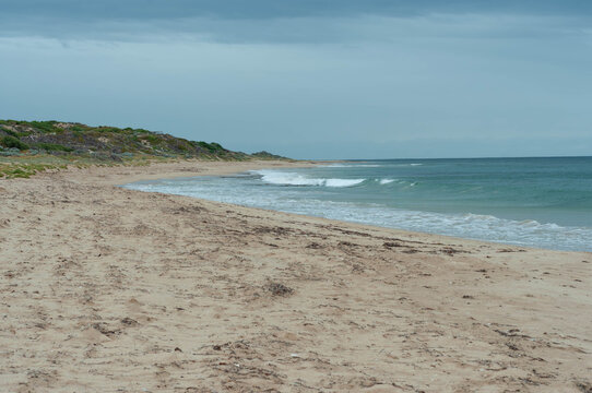 Curved beach with coastal vegetation in Western Australia