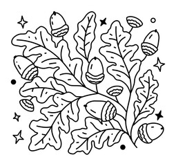 Black and white hand drawn line art composition with oak leaves, acorns, branches, and decorative stars. Botanical vector illustration for coloring pages, autumn cards, posters, stickers, packaging © Natalya