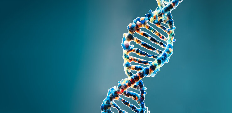 Framework structure of DNA molecules mesh