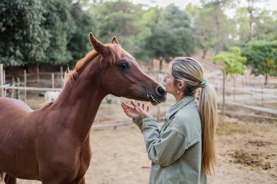 Young woman bonding with brown arabian horse